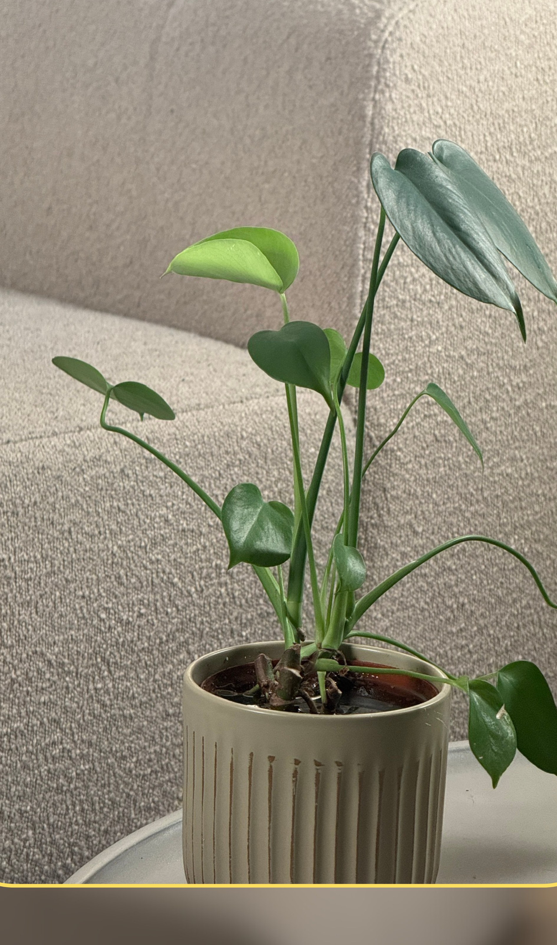 Matériel audio et décor soigné