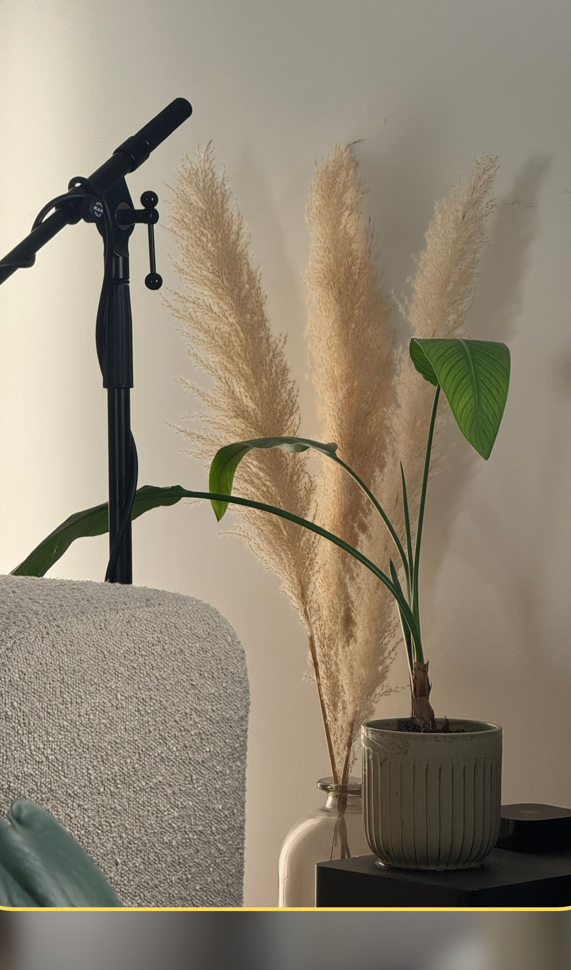 Vue d'ensemble du studio podcast avec éclairage tamisé